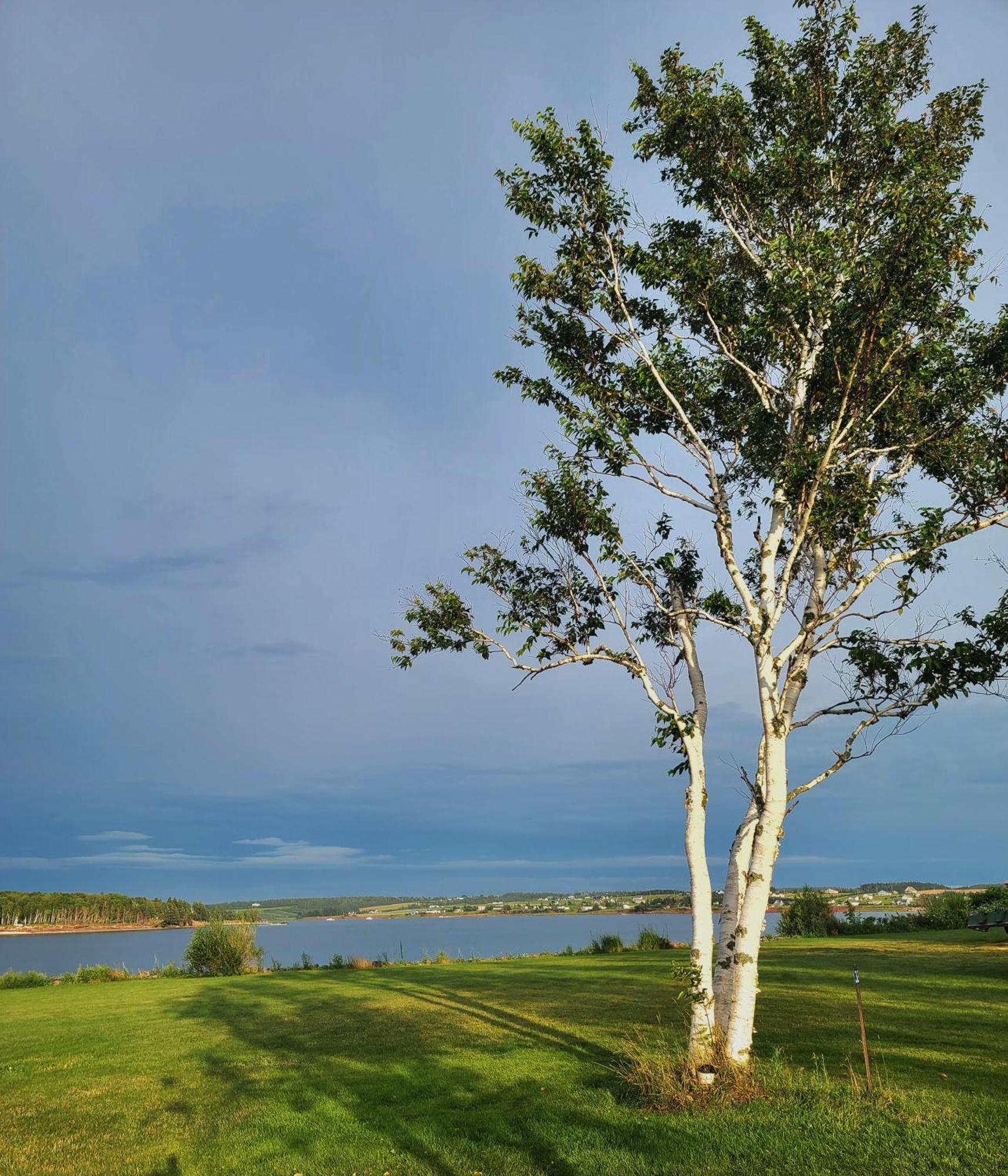 Margate Homestead 'Art House' /Views/Beaches/Golf Kensington Bagian luar foto